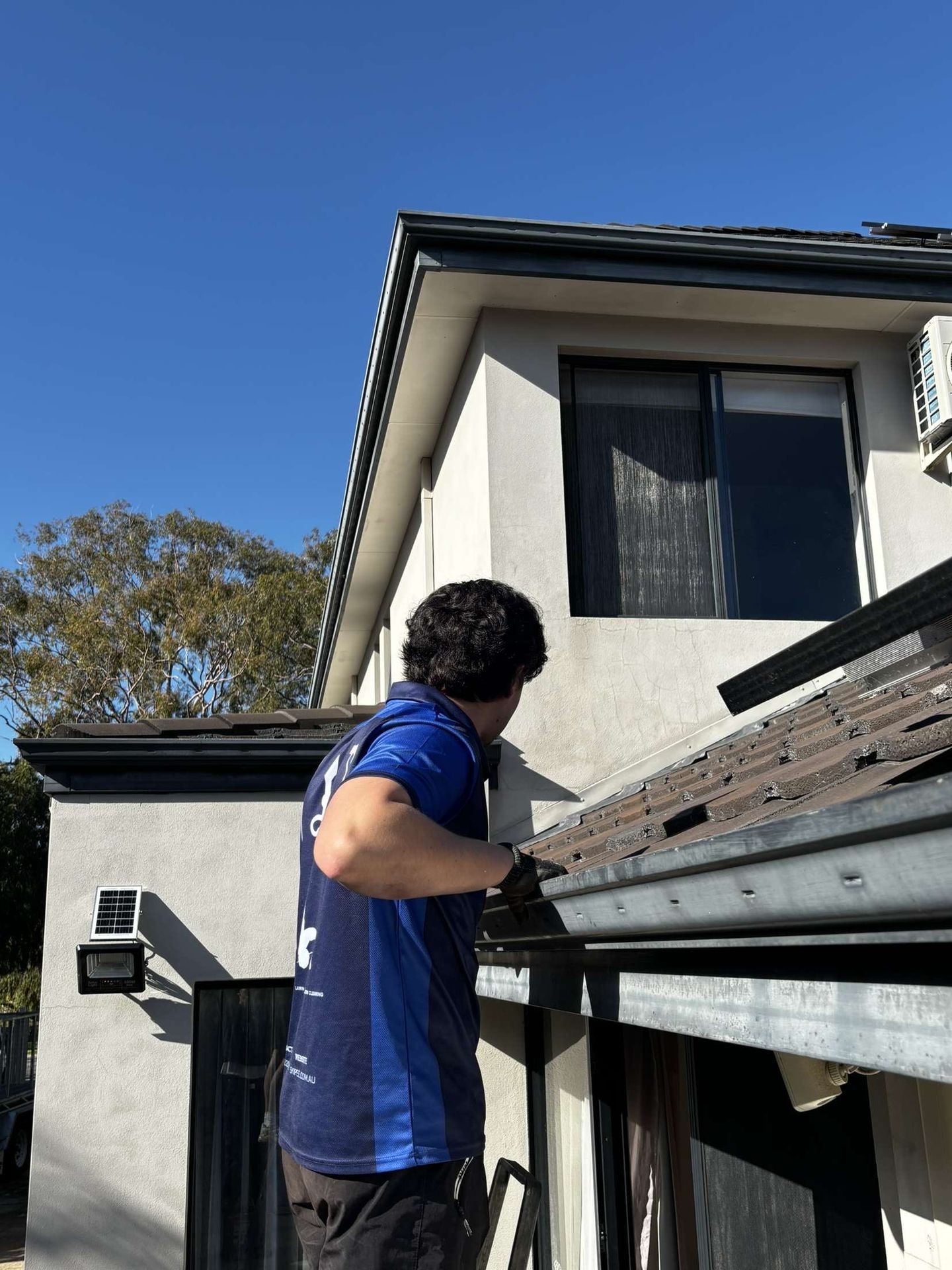 Gutter Cleaning