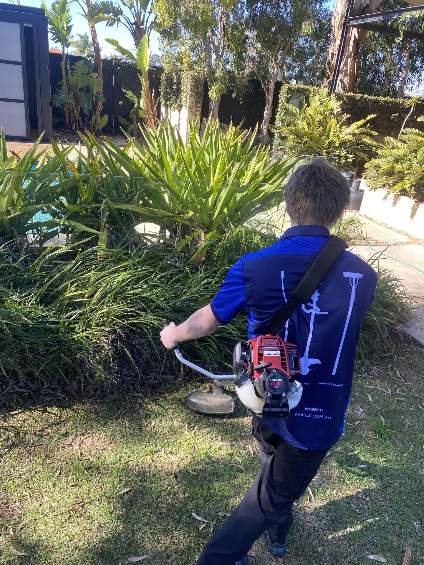 Lawn mowing/Lawn care