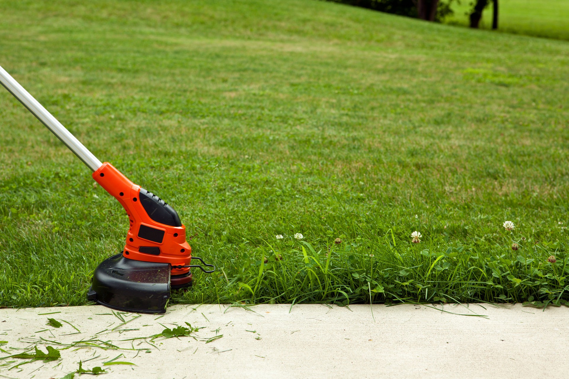 Trimming The Grass